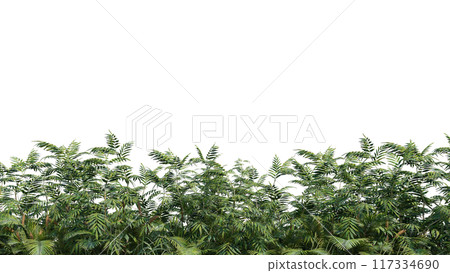 vegetation nature plant green natural environment foliage background 3d render. vegetation nature plant green natural environment foliage background 3d render. 117334690