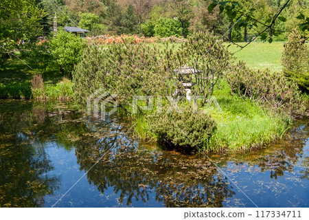 Yellow rhododendron blossoms in Japanese garden of Moscow Yellow rhododendron blossoms in Japanese garden of Moscow 117334711