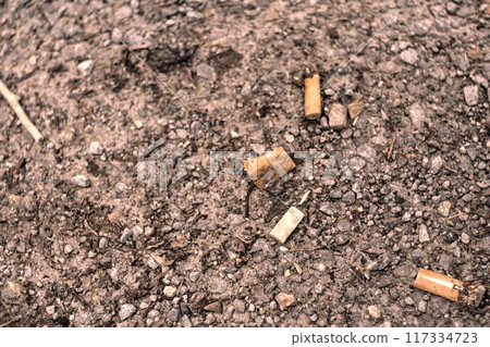 cigarette on the ground cigarette on the ground 117334723