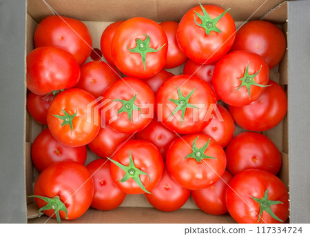 Close up photo of organic tomatoes in a box, selective focus. Close up photo of organic tomatoes in a box, selective focus. 117334724