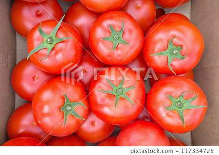 Close up photo of organic tomatoes in a box, selective focus. Close up photo of organic tomatoes in a box, selective focus. 117334725