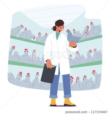 Woman Veterinarian Inspects Chickens In A Modern Poultry Farm With Rows Of Hens In Cages, Vector Illustration 117334867