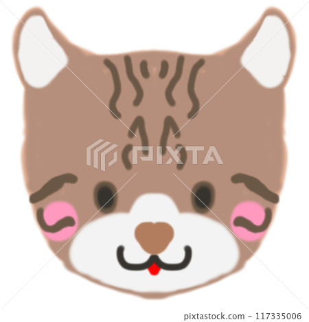 tabby 117335006