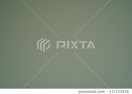 Green wall background. Sage colour. Painted room wall. Blank space for text. Green wall background. Sage colour. Painted room wall. Blank space for text. 117335016