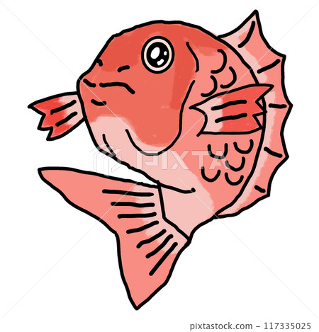 Red snapper Red snapper 117335025