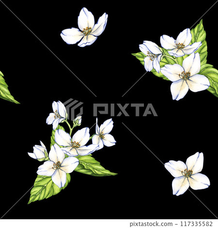 Watercolor seamless pattern of flowers and branches Jasmine isolated on a black background. Floral illustration for design greeting cards, wedding invitations, natural cosmetics, packaging and tea 117335582