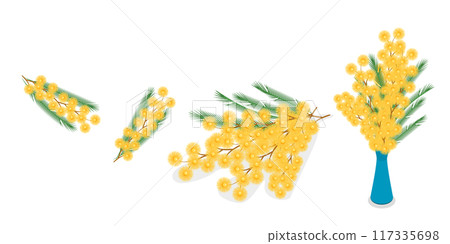3D Isometric Flat  Set of Mimosa, Flower Branch, Elegant Floral Decorations 117335698