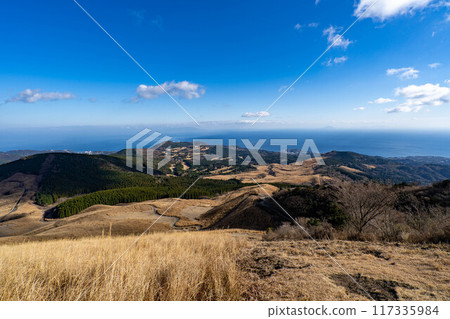 Inatori Hosono Plateau in early winter 117335984