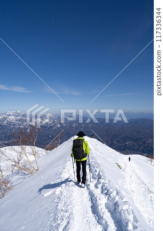 Karamatsudake during the deep winter Karamatsudake during the deep winter 117336344