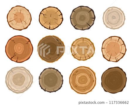 Wooden trunk cuts. Annual tree rings, stump, top view, circle textures, logs cross sections, lumber materials, round slices, different trees, cartoon flat style isolated tidy vector set 117336662