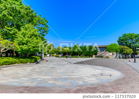 神奈川縣橫須賀市，玫瑰盛開的韋爾尼公園 117337020