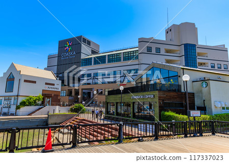 神奈川縣橫須賀市，玫瑰盛開的韋爾尼公園 117337023