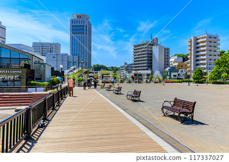 神奈川縣橫須賀市，玫瑰盛開的韋爾尼公園 117337027