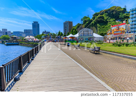 神奈川縣橫須賀市，玫瑰盛開的韋爾尼公園 117337055