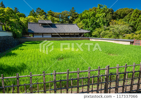 東大寺二月堂後門、稻田和大澡堂 東大寺二月堂後門、稻田和大澡堂 117337066