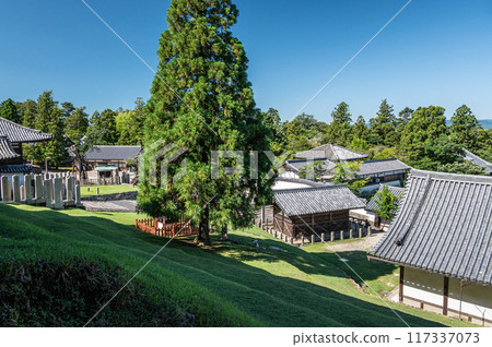 東大寺二月堂的良便杉 東大寺二月堂的良便杉 117337073