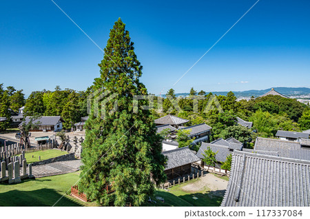 View of Roben Cedar and Nara city from the Nigatsudo Hall of Todaiji Temple View of Roben Cedar and Nara city from the Nigatsudo Hall of Todaiji Temple 117337084