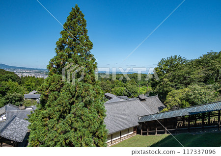 東大寺二月堂的良便杉 東大寺二月堂的良便杉 117337096