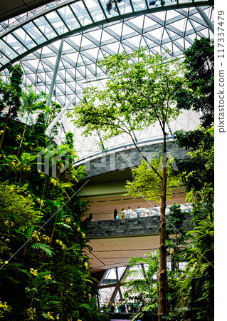 Scenery of Changi Airport, Singapore Scenery of Changi Airport, Singapore 117337479