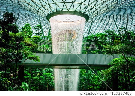 新加坡樟宜機場風光 117337493