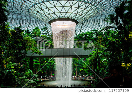 Scenery of Changi Airport, Singapore 117337509