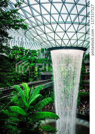 新加坡樟宜機場風光 新加坡樟宜機場風光 117337527