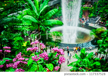 新加坡樟宜機場風光 新加坡樟宜機場風光 117337528