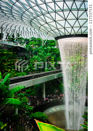 Scenery of Changi Airport, Singapore 117337531