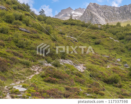 Randonnee crepuscule in the Vallee de Chaviere in Vanoise national park in France Randonnee crepuscule in the Vallee de Chaviere in Vanoise national park in France 117337598