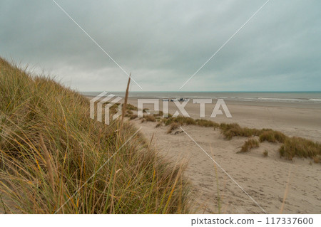 Terschelling island in the Wadden Sea - Holland or the Netherlands 117337600