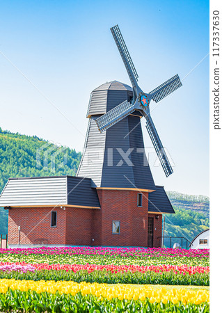 Kamiyuunetsu Tulip Park 117337630