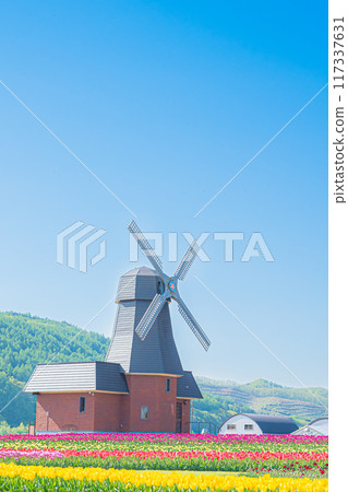 Kamiyuunetsu Tulip Park 117337631