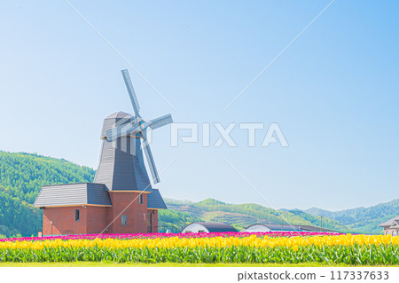 Kamiyuunetsu Tulip Park 117337633