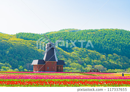 Kamiyuunetsu Tulip Park 117337655
