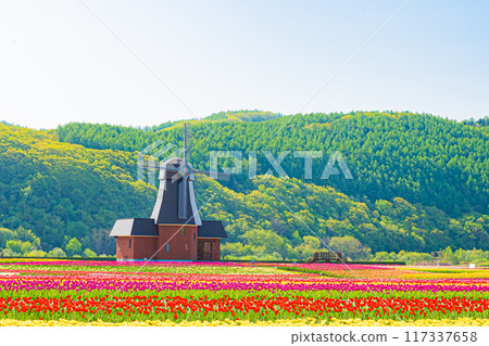 Kamiyuunetsu Tulip Park 117337658