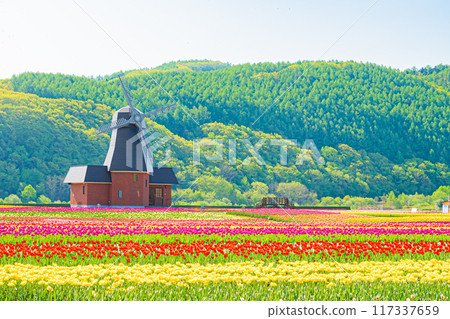 Kamiyuunetsu Tulip Park 117337659