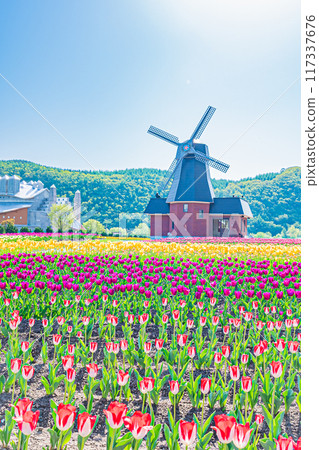 Kamiyuunetsu Tulip Park 117337676
