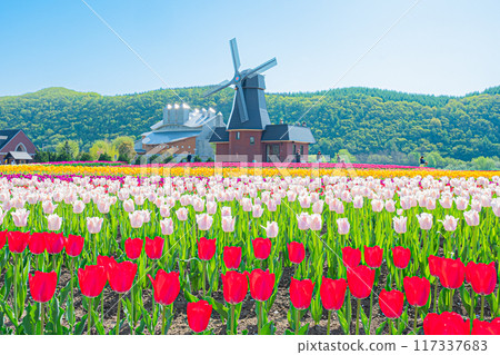 Kamiyuunetsu Tulip Park 117337683