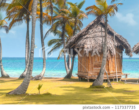 San Blas islands in Panama, tropical beach San Blas islands in Panama, tropical beach 117337735