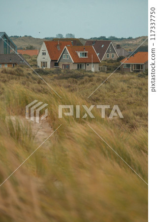 Terschelling island in the Wadden Sea - Holland or the Netherlands 117337750