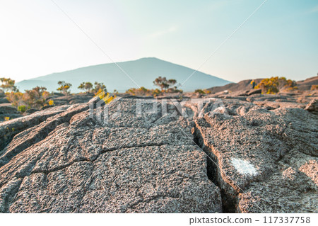 Hiking the Piton de la Fournaise volcano - Reunion, France - Africa 117337758