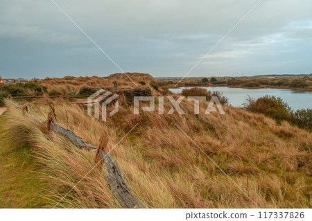 Terschelling island in the Wadden Sea - Holland or the Netherlands 117337826