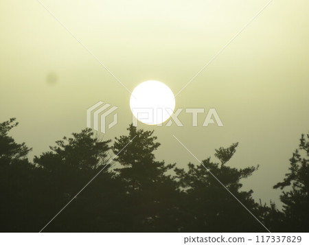 Morning sun 117337829