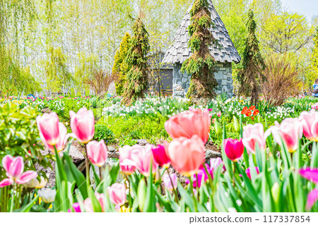 Spring scenery at Ueno Farm 117337854