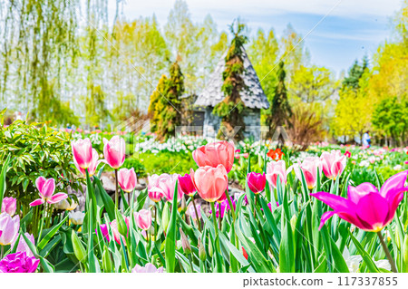 Spring scenery at Ueno Farm Spring scenery at Ueno Farm 117337855
