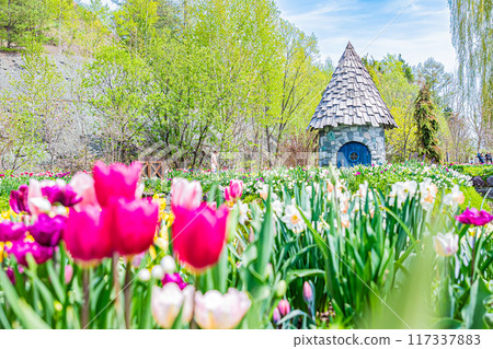 Spring scenery at Ueno Farm 117337883