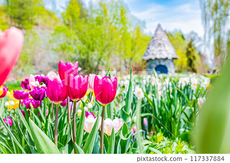 Spring scenery at Ueno Farm Spring scenery at Ueno Farm 117337884