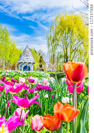 Spring scenery at Ueno Farm 117337888