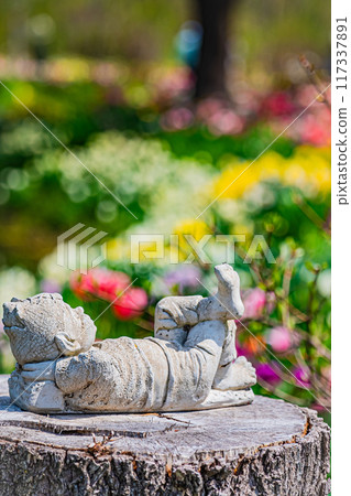 Spring scenery at Ueno Farm 117337891