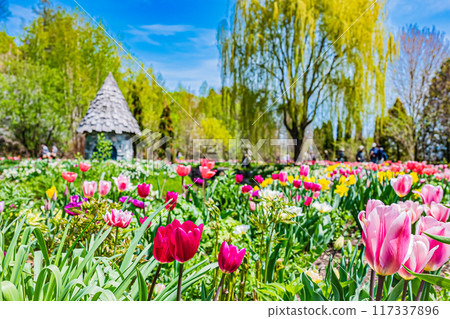 Spring scenery at Ueno Farm Spring scenery at Ueno Farm 117337896